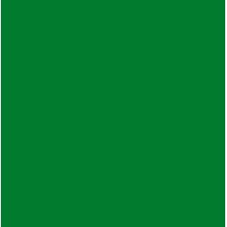 فينيل الاسطح اخضر 30 × 38 سم (106093)