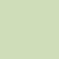 فينيل الاسطح تيك راب مطفي اخضر فاتح 30.5×100 سم  (106407)